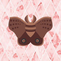 Moth